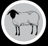 SheepStamp 3